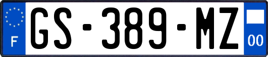 GS-389-MZ