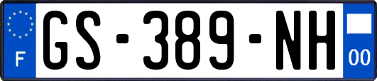 GS-389-NH
