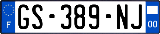 GS-389-NJ