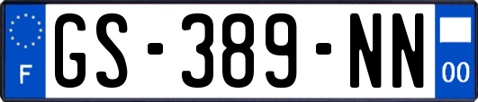 GS-389-NN