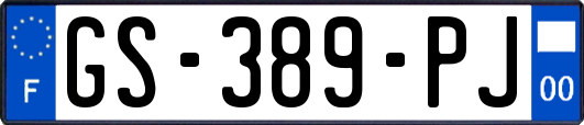GS-389-PJ