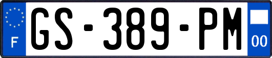 GS-389-PM