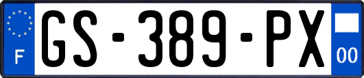 GS-389-PX