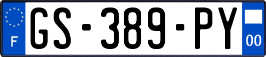GS-389-PY