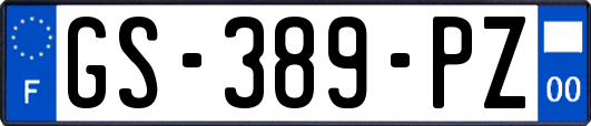 GS-389-PZ