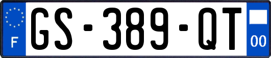 GS-389-QT