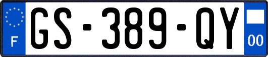 GS-389-QY