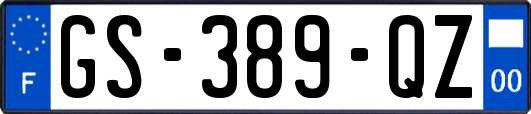 GS-389-QZ