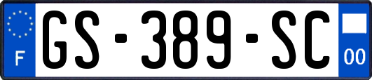 GS-389-SC