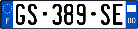 GS-389-SE