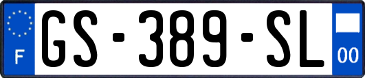 GS-389-SL