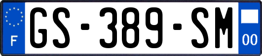 GS-389-SM