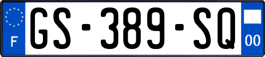 GS-389-SQ