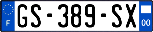 GS-389-SX