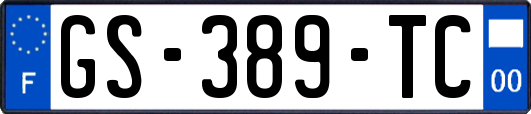 GS-389-TC