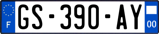 GS-390-AY