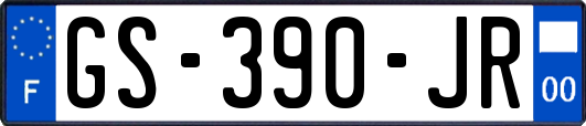 GS-390-JR