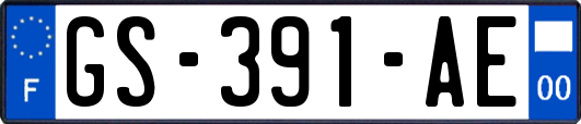 GS-391-AE