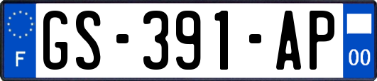 GS-391-AP