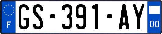 GS-391-AY