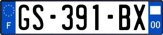 GS-391-BX