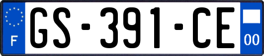 GS-391-CE