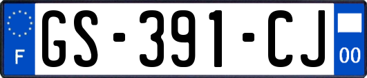 GS-391-CJ