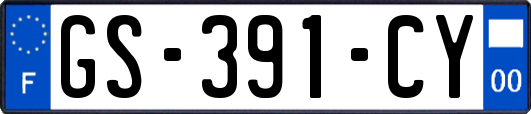 GS-391-CY