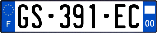 GS-391-EC