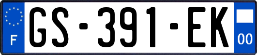GS-391-EK