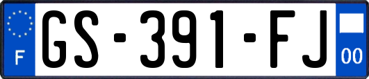 GS-391-FJ