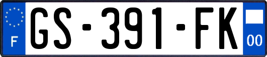 GS-391-FK