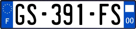 GS-391-FS