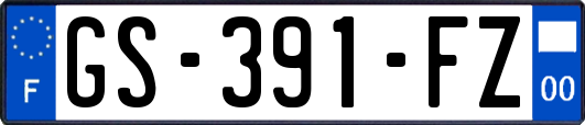 GS-391-FZ
