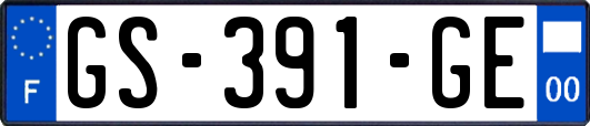 GS-391-GE