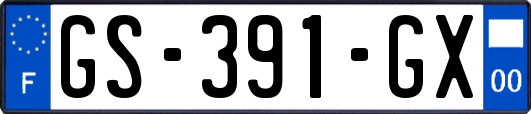 GS-391-GX