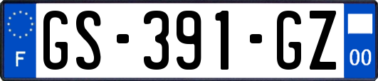GS-391-GZ