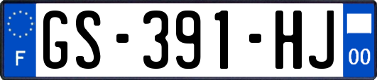 GS-391-HJ