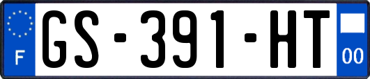 GS-391-HT