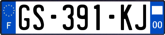GS-391-KJ