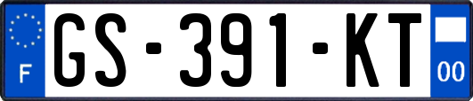 GS-391-KT
