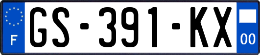 GS-391-KX