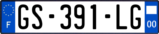 GS-391-LG