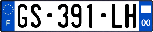 GS-391-LH