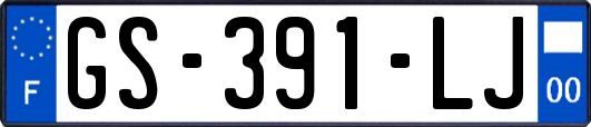 GS-391-LJ
