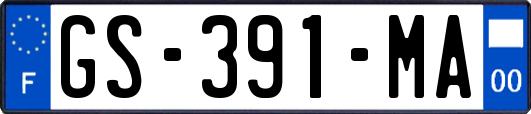 GS-391-MA