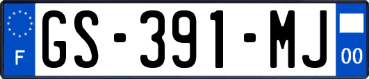 GS-391-MJ