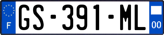 GS-391-ML