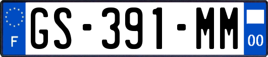 GS-391-MM