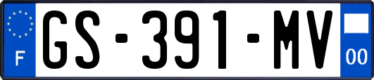 GS-391-MV